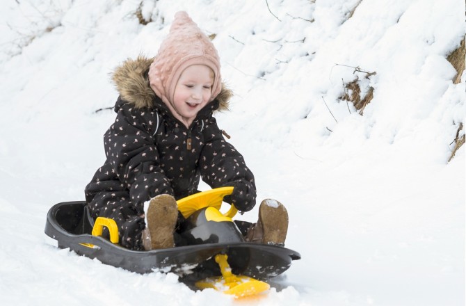 Sanki z kierownicą i hamulcami classic Dantoy - Blue